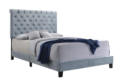 G310041 Queen Bed - Premium Queen Bed from Coaster Z2 Standard - Just $290! Shop now at Furniture Wholesale Plus  We are the best furniture store in Nashville, Hendersonville, Goodlettsville, Madison, Antioch, Mount Juliet, Lebanon, Gallatin, Springfield, Murfreesboro, Franklin, Brentwood