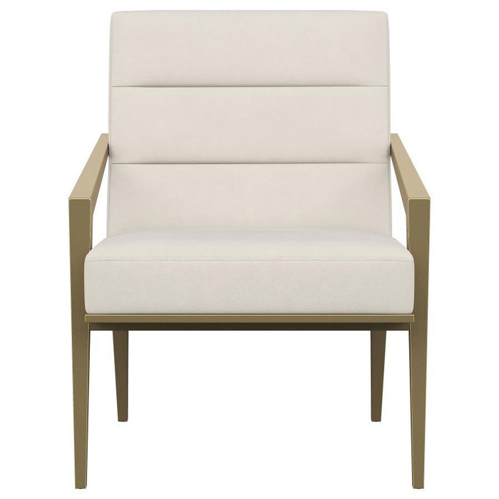 Kirra - Upholstered Metal Arm Accent Chair - Premium Accent Chairs from Coaster Fine Furniture - Just $459! Shop now at Furniture Wholesale Plus  We are the best furniture store in Nashville, Hendersonville, Goodlettsville, Madison, Antioch, Mount Juliet, Lebanon, Gallatin, Springfield, Murfreesboro, Franklin, Brentwood