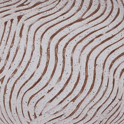 Vien - Terracotta Table Lamp - Distressed White – Table Lamps by Signature Design by Ashley® at Furniture Wholesale Plus , Nashville furniture store