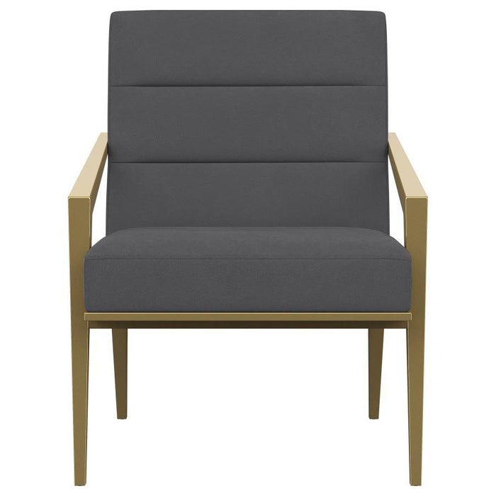 Kirra - Upholstered Metal Arm Accent Chair - Premium Accent Chairs from Coaster Fine Furniture - Just $459! Shop now at Furniture Wholesale Plus  We are the best furniture store in Nashville, Hendersonville, Goodlettsville, Madison, Antioch, Mount Juliet, Lebanon, Gallatin, Springfield, Murfreesboro, Franklin, Brentwood
