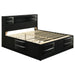 Briana - Wood Storage Bookcase Bed – Storage Beds by CoasterEssence at Furniture Wholesale Plus , Nashville furniture store