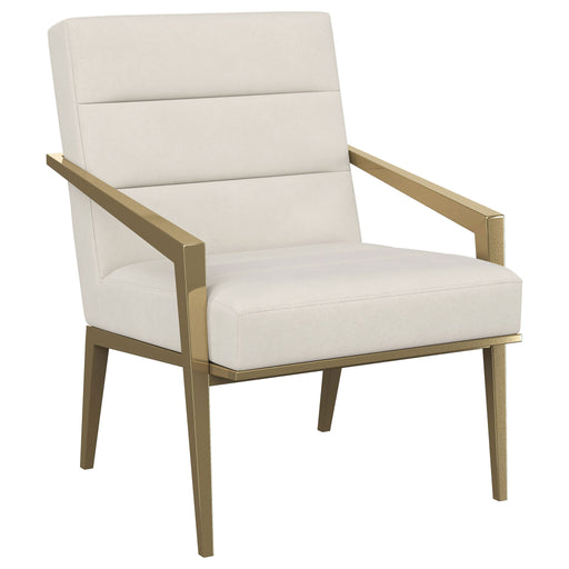 Kirra - Upholstered Metal Arm Accent Chair - Premium Accent Chairs from Coaster Fine Furniture - Just $459! Shop now at Furniture Wholesale Plus  We are the best furniture store in Nashville, Hendersonville, Goodlettsville, Madison, Antioch, Mount Juliet, Lebanon, Gallatin, Springfield, Murfreesboro, Franklin, Brentwood