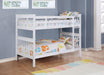 Chapman - Wood Twin Over Twin Bunk Bed With Mattress - White – Bunk Beds by Coaster Fine Furniture at Furniture Wholesale Plus , Nashville furniture store