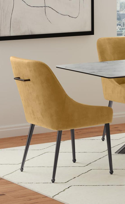 Mayette - Upholstered Dining Side Chair (Set of 2) - Premium Chair Sets from Coaster Fine Furniture - Just $419! Shop now at Furniture Wholesale Plus  We are the best furniture store in Nashville, Hendersonville, Goodlettsville, Madison, Antioch, Mount Juliet, Lebanon, Gallatin, Springfield, Murfreesboro, Franklin, Brentwood