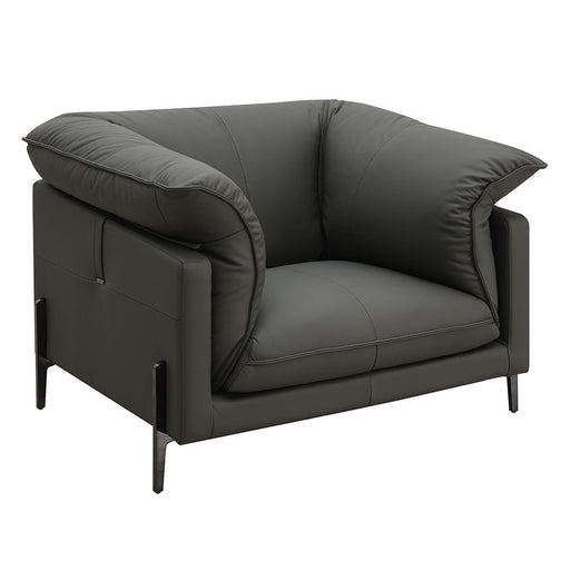 Tadi - Chair - Black Top Grain Leather - Premium Arm Chairs from ACME - Just $2049! Shop now at Furniture Wholesale Plus  We are the best furniture store in Nashville, Hendersonville, Goodlettsville, Madison, Antioch, Mount Juliet, Lebanon, Gallatin, Springfield, Murfreesboro, Franklin, Brentwood