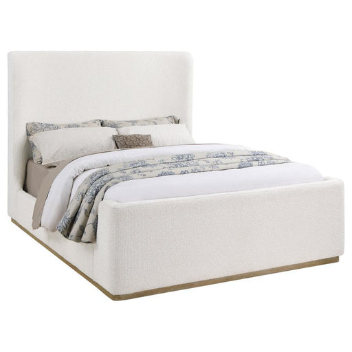 Nala - Upholstered Sleigh Bed – Sleigh Beds by Coaster Fine Furniture at Furniture Wholesale Plus , Nashville furniture store