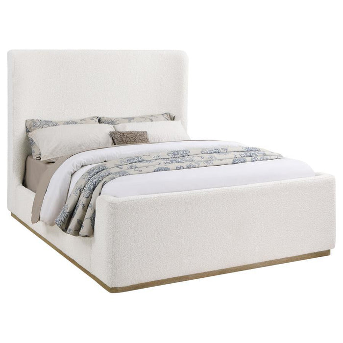 Nala - Upholstered Sleigh Bed – Sleigh Beds by Coaster Fine Furniture at Furniture Wholesale Plus , Nashville furniture store