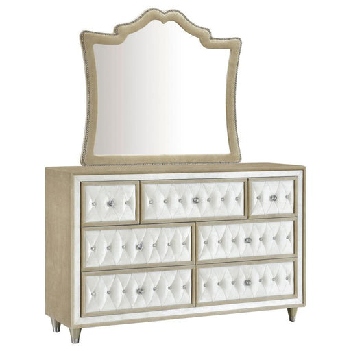 Antonella - 7-Drawer Upholstered Dresser With Mirror - Premium Dresser & Mirror from CoasterElevations - Just $1089! Shop now at Furniture Wholesale Plus  We are the best furniture store in Nashville, Hendersonville, Goodlettsville, Madison, Antioch, Mount Juliet, Lebanon, Gallatin, Springfield, Murfreesboro, Franklin, Brentwood