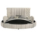 Sonya - Upholstered Round Storage Bed - Premium Storage Beds from Coaster Fine Furniture - Just $1399! Shop now at Furniture Wholesale Plus  We are the best furniture store in Nashville, Hendersonville, Goodlettsville, Madison, Antioch, Mount Juliet, Lebanon, Gallatin, Springfield, Murfreesboro, Franklin, Brentwood