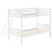 Littleton - Bunk Bed – Bunk Beds by CoasterEveryday at Furniture Wholesale Plus , Nashville furniture store