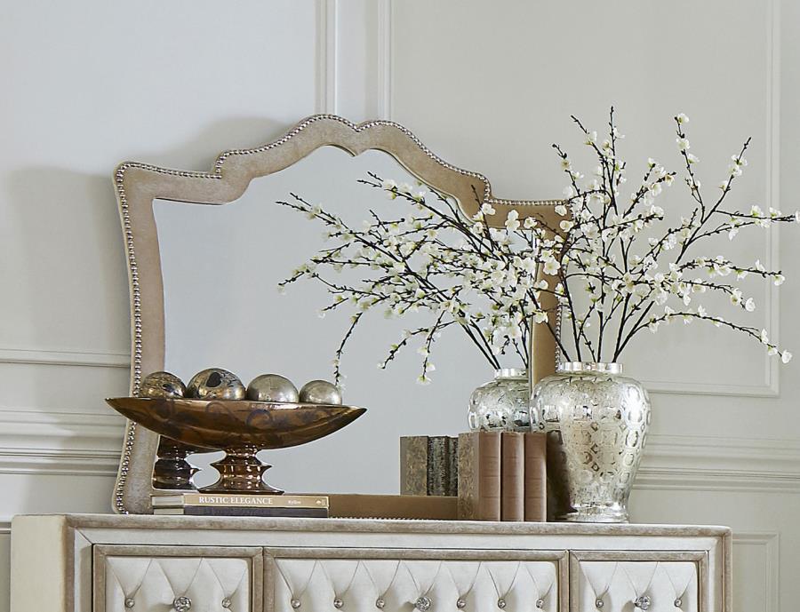 Antonella - Upholstered Dresser Mirror - Premium Bedroom Mirrors from CoasterElevations - Just $229! Shop now at Furniture Wholesale Plus  We are the best furniture store in Nashville, Hendersonville, Goodlettsville, Madison, Antioch, Mount Juliet, Lebanon, Gallatin, Springfield, Murfreesboro, Franklin, Brentwood