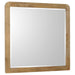 Robyn - Dresser Mirror – Mirrors by CoasterEssence at Furniture Wholesale Plus , Nashville furniture store