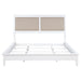 Bexhill - 56" Upholstered Panel Bed – Upholstered Beds by Coaster Fine Furniture at Furniture Wholesale Plus , Nashville furniture store