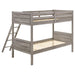 Ryder - Wood Bunk Bed – Bunk Beds by CoasterEveryday at Furniture Wholesale Plus , Nashville furniture store