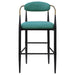 Tina - Metal Pub Height Bar Stool With Upholstered Back And Seat (Set of 2) - Premium Stool Sets from Coaster Fine Furniture - Just $429! Shop now at Furniture Wholesale Plus  We are the best furniture store in Nashville, Hendersonville, Goodlettsville, Madison, Antioch, Mount Juliet, Lebanon, Gallatin, Springfield, Murfreesboro, Franklin, Brentwood