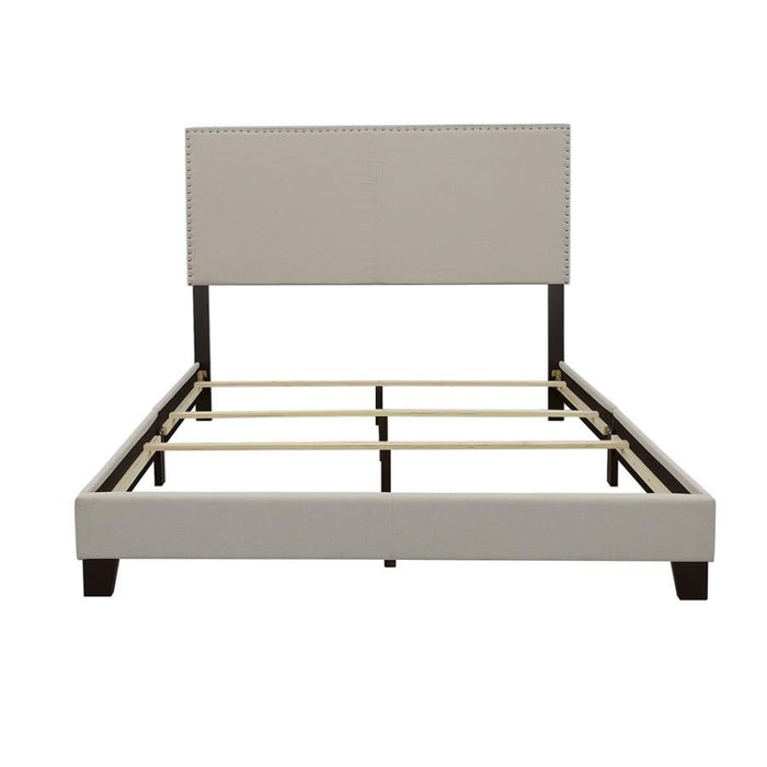 Boyd - Upholstered Panel Bed – Upholstered Beds by CoasterEveryday at Furniture Wholesale Plus , Nashville furniture store
