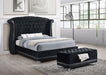 Barzini - Velvet Upholstered Tufted Storage Bench - Black – Storage Benches by CoasterElevations at Furniture Wholesale Plus , Nashville furniture store