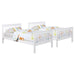 Chapman - Wood Twin Over Twin Bunk Bed With Mattress - White – Bunk Beds by Coaster Fine Furniture at Furniture Wholesale Plus , Nashville furniture store
