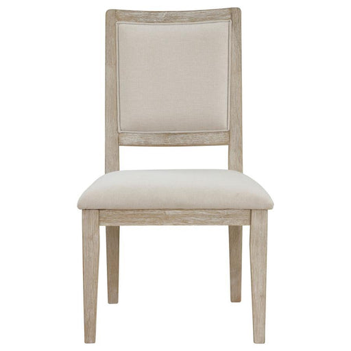 Trofello - Cushioned Dining Side Chair (Set of 2) - White Washed – Chair Sets by Coaster Fine Furniture at Furniture Wholesale Plus , Nashville furniture store