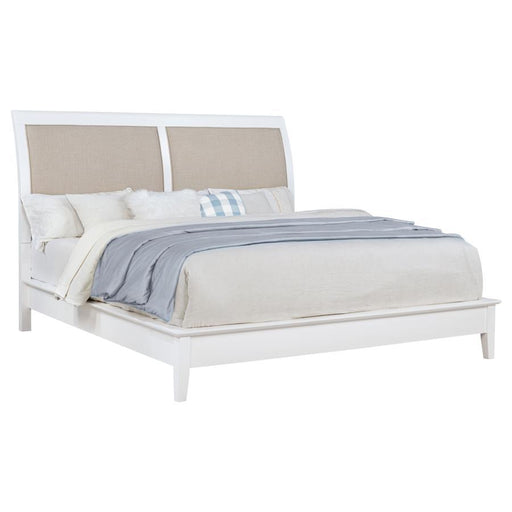 Bexhill - 56" Upholstered Panel Bed – Upholstered Beds by Coaster Fine Furniture at Furniture Wholesale Plus , Nashville furniture store