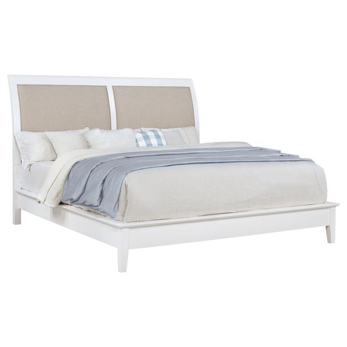 Bexhill - 56" Upholstered Panel Bed – Upholstered Beds by Coaster Fine Furniture at Furniture Wholesale Plus , Nashville furniture store