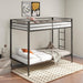 Alevera - Metal Bunk Bed With Ladder – Bunk Beds by Coaster Fine Furniture at Furniture Wholesale Plus , Nashville furniture store