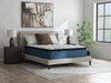 Limited Edition Plush PT 3.0 - Mattress – Pillow Top Mattresses by Sierra Sleep® by Ashley at Furniture Wholesale Plus , Nashville furniture store