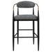 Tina - Metal Pub Height Bar Stool With Upholstered Back And Seat (Set of 2) - Premium Stool Sets from Coaster Fine Furniture - Just $429! Shop now at Furniture Wholesale Plus  We are the best furniture store in Nashville, Hendersonville, Goodlettsville, Madison, Antioch, Mount Juliet, Lebanon, Gallatin, Springfield, Murfreesboro, Franklin, Brentwood