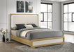 Hyland - Panel Bed LED Headboard – Panel Beds by Coaster Fine Furniture at Furniture Wholesale Plus , Nashville furniture store