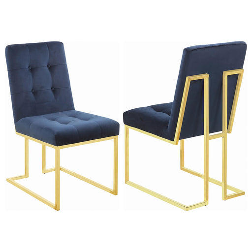 Cisco Tufted Back Side Chairs Ink Blue (Set of 2) - Premium Dining Chair from Coaster Z2 Standard - Just $240! Shop now at Furniture Wholesale Plus  We are the best furniture store in Nashville, Hendersonville, Goodlettsville, Madison, Antioch, Mount Juliet, Lebanon, Gallatin, Springfield, Murfreesboro, Franklin, Brentwood