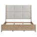 Brentwood - Upholstered Bed – Upholstered Beds by Liberty Furniture at Furniture Wholesale Plus , Nashville furniture store