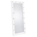 Zayan - Length Floor Mirror With Lighting – Floor Mirrors by Coaster Fine Furniture at Furniture Wholesale Plus , Nashville furniture store
