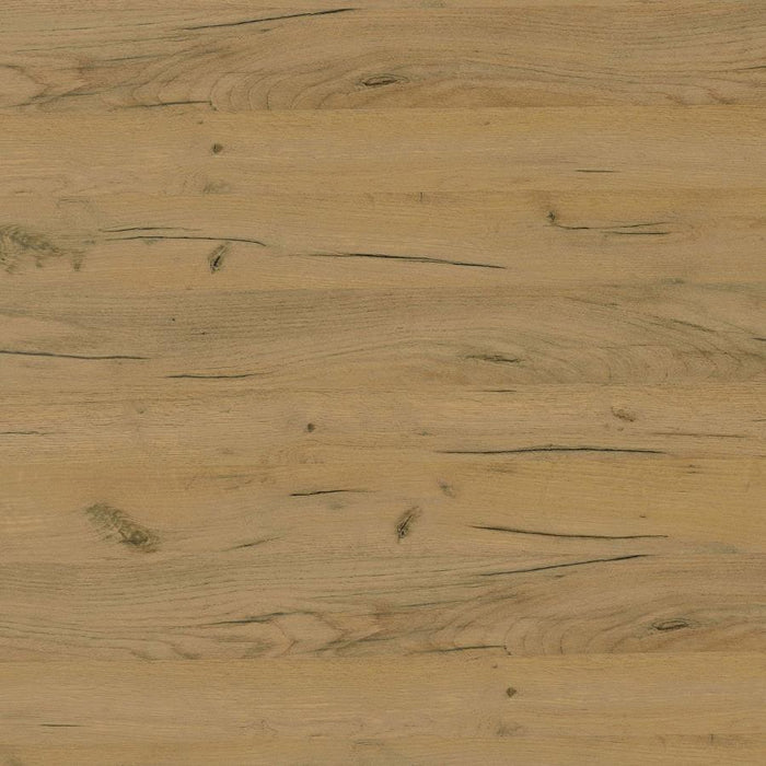 Fanning - Engineered Wood Lift Top Coffee Table - Golden Oak – Coffee Tables by CoasterEssence at Furniture Wholesale Plus , Nashville furniture store