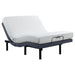 Negan - Adjustable Bed Base - Premium Adjustable Bases from CoasterEveryday - Just $1199! Shop now at Furniture Wholesale Plus  We are the best furniture store in Nashville, Hendersonville, Goodlettsville, Madison, Antioch, Mount Juliet, Lebanon, Gallatin, Springfield, Murfreesboro, Franklin, Brentwood