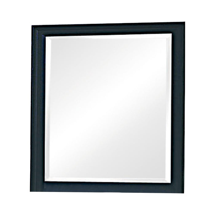 Sandy Beach Vertical Dresser Mirror Black - Premium Mirror from Coaster Z2 Standard - Just $132! Shop now at Furniture Wholesale Plus  We are the best furniture store in Nashville, Hendersonville, Goodlettsville, Madison, Antioch, Mount Juliet, Lebanon, Gallatin, Springfield, Murfreesboro, Franklin, Brentwood