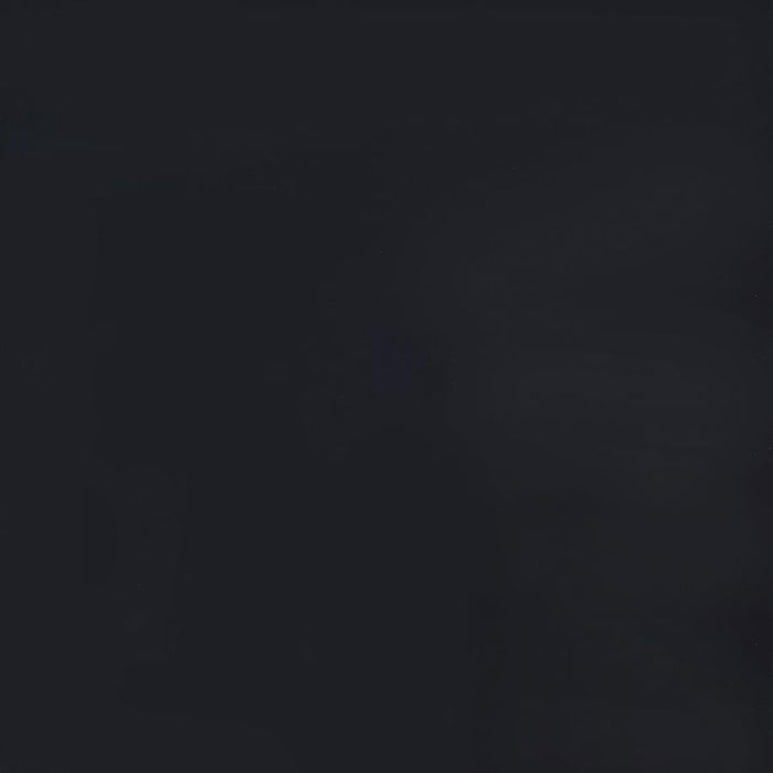 Haidera - 4-Panel Room Divider Folding Screen - Black Damask - Premium Room Dividers from CoasterEveryday - Just $189! Shop now at Furniture Wholesale Plus  We are the best furniture store in Nashville, Hendersonville, Goodlettsville, Madison, Antioch, Mount Juliet, Lebanon, Gallatin, Springfield, Murfreesboro, Franklin, Brentwood