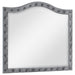 Deanna Button Tufted Dresser Mirror Grey - Premium Mirror from Coaster Z2 Standard - Just $184! Shop now at Furniture Wholesale Plus  We are the best furniture store in Nashville, Hendersonville, Goodlettsville, Madison, Antioch, Mount Juliet, Lebanon, Gallatin, Springfield, Murfreesboro, Franklin, Brentwood