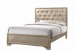 Beaumont Upholstered Eastern King Bed Champagne - Premium Bed from Coaster Z2 Standard - Just $558! Shop now at Furniture Wholesale Plus  We are the best furniture store in Nashville, Hendersonville, Goodlettsville, Madison, Antioch, Mount Juliet, Lebanon, Gallatin, Springfield, Murfreesboro, Franklin, Brentwood