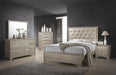 Beaumont Bedroom Set Metallic Champagne - Premium Bedroom Set from Coaster Z2 Standard - Just $1298! Shop now at Furniture Wholesale Plus  We are the best furniture store in Nashville, Hendersonville, Goodlettsville, Madison, Antioch, Mount Juliet, Lebanon, Gallatin, Springfield, Murfreesboro, Franklin, Brentwood