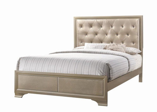 Beaumont Upholstered Queen Bed Champagne - Premium Bed from Coaster Z2 Standard - Just $418! Shop now at Furniture Wholesale Plus  We are the best furniture store in Nashville, Hendersonville, Goodlettsville, Madison, Antioch, Mount Juliet, Lebanon, Gallatin, Springfield, Murfreesboro, Franklin, Brentwood