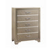 Beaumont 5-drawer Rectangular Chest Champagne - Premium Chest from Coaster Z2 Standard - Just $420! Shop now at Furniture Wholesale Plus  We are the best furniture store in Nashville, Hendersonville, Goodlettsville, Madison, Antioch, Mount Juliet, Lebanon, Gallatin, Springfield, Murfreesboro, Franklin, Brentwood