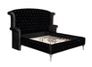 Deanna Eastern King Tufted Upholstered Bed Black - Premium Bed from Coaster Z2 Standard - Just $1198! Shop now at Furniture Wholesale Plus  We are the best furniture store in Nashville, Hendersonville, Goodlettsville, Madison, Antioch, Mount Juliet, Lebanon, Gallatin, Springfield, Murfreesboro, Franklin, Brentwood