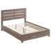 Brantford Eastern King Storage Bed Barrel Oak - Premium Bed from Coaster Z2 Standard - Just $358! Shop now at Furniture Wholesale Plus  We are the best furniture store in Nashville, Hendersonville, Goodlettsville, Madison, Antioch, Mount Juliet, Lebanon, Gallatin, Springfield, Murfreesboro, Franklin, Brentwood