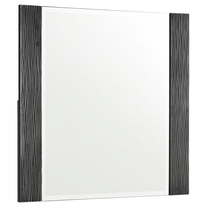 Blacktoft Rectangle Dresser Mirror Black - Premium Mirror from Coaster Z2 Standard - Just $128! Shop now at Furniture Wholesale Plus  We are the best furniture store in Nashville, Hendersonville, Goodlettsville, Madison, Antioch, Mount Juliet, Lebanon, Gallatin, Springfield, Murfreesboro, Franklin, Brentwood