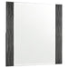 Blacktoft Rectangle Dresser Mirror Black - Premium Mirror from Coaster Z2 Standard - Just $128! Shop now at Furniture Wholesale Plus  We are the best furniture store in Nashville, Hendersonville, Goodlettsville, Madison, Antioch, Mount Juliet, Lebanon, Gallatin, Springfield, Murfreesboro, Franklin, Brentwood