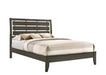 Serenity Full Panel Bed Mod Grey - Premium Bed from Coaster Z2 Standard - Just $290! Shop now at Furniture Wholesale Plus  We are the best furniture store in Nashville, Hendersonville, Goodlettsville, Madison, Antioch, Mount Juliet, Lebanon, Gallatin, Springfield, Murfreesboro, Franklin, Brentwood