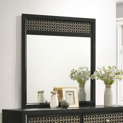 Valencia Dresser Mirror Light Brown and Black - Premium Mirror from Coaster Z2 Standard - Just $100! Shop now at Furniture Wholesale Plus  We are the best furniture store in Nashville, Hendersonville, Goodlettsville, Madison, Antioch, Mount Juliet, Lebanon, Gallatin, Springfield, Murfreesboro, Franklin, Brentwood