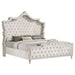 Antonella Upholstered Tufted Eastern King Bed Ivory and Camel - Premium Bed from Coaster Z2 Standard - Just $1150! Shop now at Furniture Wholesale Plus  We are the best furniture store in Nashville, Hendersonville, Goodlettsville, Madison, Antioch, Mount Juliet, Lebanon, Gallatin, Springfield, Murfreesboro, Franklin, Brentwood