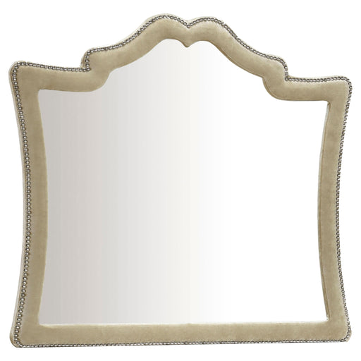 Antonella Dresser Mirror with Nailhead Trim Camel - Premium Mirror from Coaster Z2 Standard - Just $200! Shop now at Furniture Wholesale Plus  We are the best furniture store in Nashville, Hendersonville, Goodlettsville, Madison, Antioch, Mount Juliet, Lebanon, Gallatin, Springfield, Murfreesboro, Franklin, Brentwood