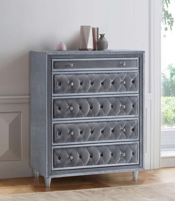 Antonella 5-drawer Upholstered Chest Grey - Premium Chest from Coaster Z2 Standard - Just $700! Shop now at Furniture Wholesale Plus  We are the best furniture store in Nashville, Hendersonville, Goodlettsville, Madison, Antioch, Mount Juliet, Lebanon, Gallatin, Springfield, Murfreesboro, Franklin, Brentwood